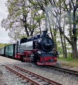 Ferienwohnung in Baabe - D&uuml;nenkieker - Bild 14