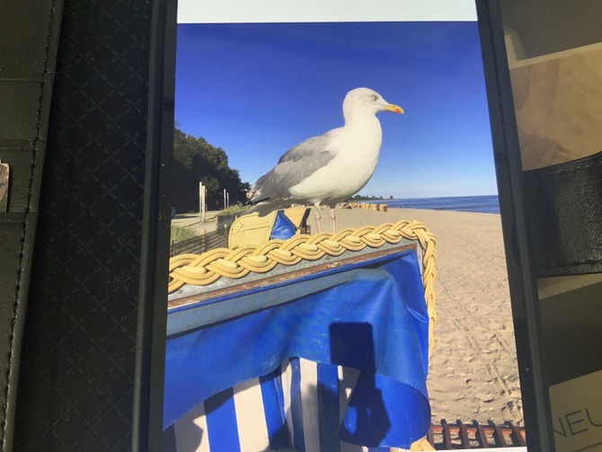 Ferienwohnung in Kellenhusen - Heidi - Bild 17