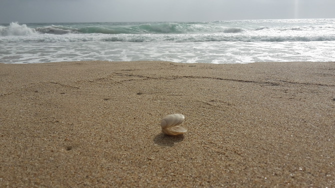 Ferienwohnung in Dahme - Seeblick - Bild 13