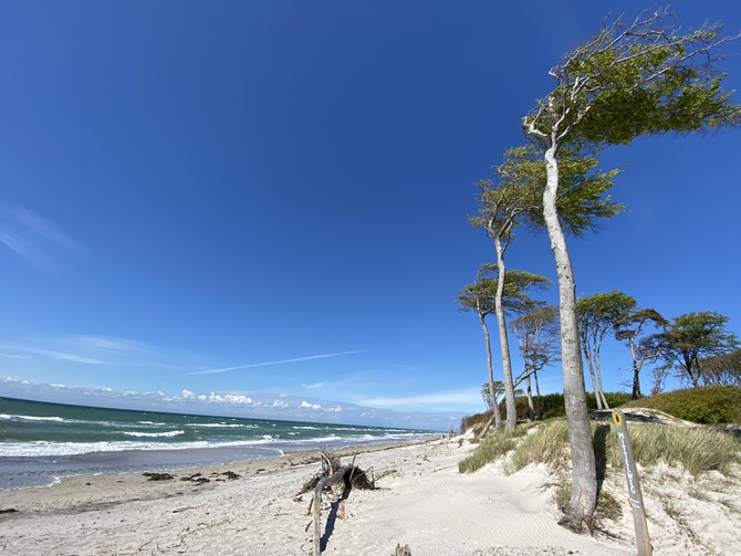 Ferienwohnung in Prerow - Haus zur See - WG Gruzdz - Weststrand