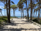Ferienwohnung in Prerow - Haus zur See - WG Gruzdz - Weg zum Weststrand
