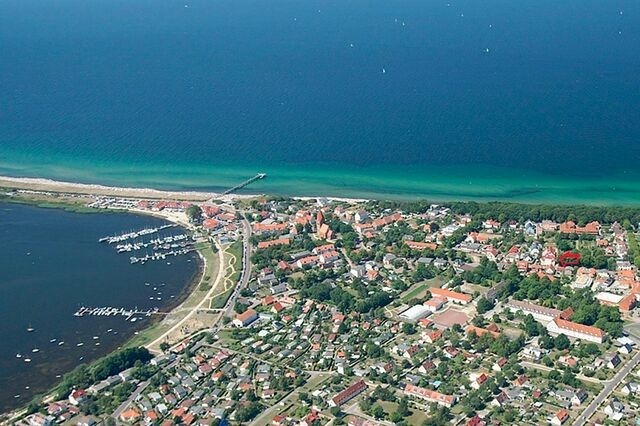 Ferienwohnung in Rerik - Strandl&auml;ufer in der Villa Rosita - Bild 21
