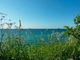 Ferienwohnung in Rerik - Strandl&auml;ufer in der Villa Rosita - Bild 25