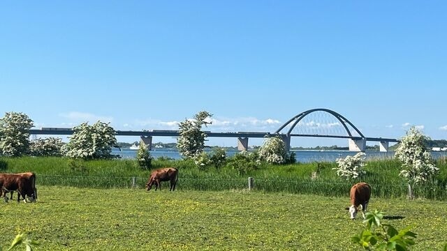 Ferienwohnung in Großenbrode - Ferienwohnung Meeresblick - Bild 20