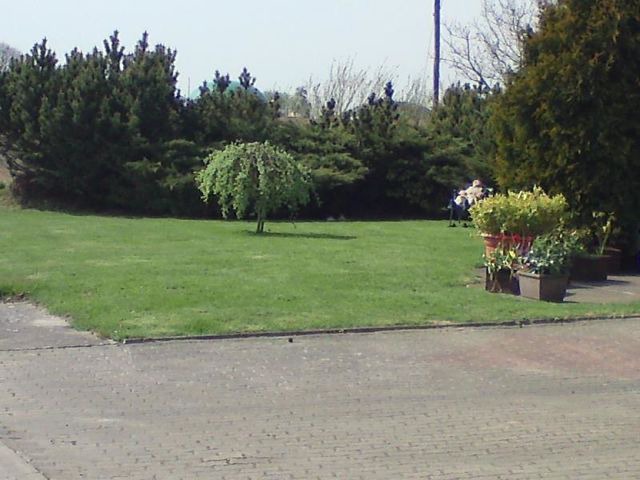 Ferienwohnung in Taarstedt - Ferienwohnung Thomsen - Bild 11