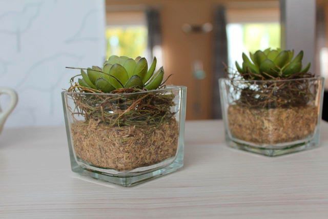 Ferienwohnung in Fehmarn OT Burg - Ferienwohnung Carstensen Nr.1 - Bild 6