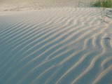 Ferienwohnung in Haffkrug - Strandl&auml;ufer - Bild 10