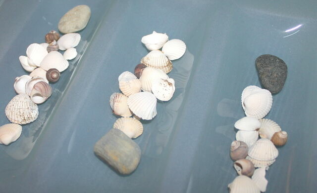 Ferienhaus in Gr&ouml;mitz - "Ferienhaus Moll" - Bild 4