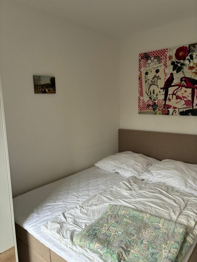 Ferienwohnung in Gr&ouml;mitz - Haus Barbara - Schwimmbad und Sauna im Haus - Whg. 2 - Bild 12