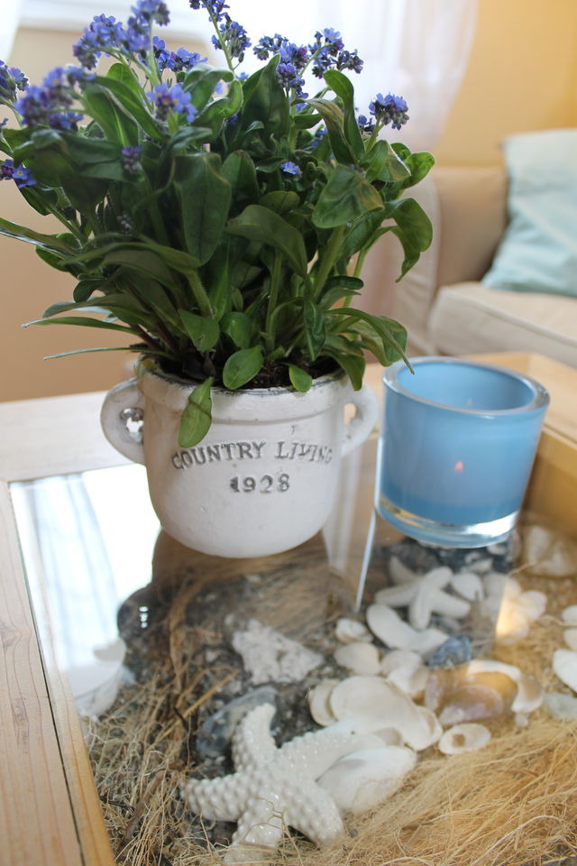 Ferienwohnung in Gr&ouml;mitz - "Bungalow Schlippes" - gem&uuml;tliches Feriennest mit Terrasse f&uuml;r Zwei - Bild 3