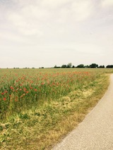 Ferienhaus in Gro&szlig;enbrode - Romantic Cottage - Bild 22