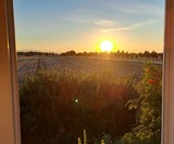 Ferienhaus in Kühlungsborn - Schlehdornhaus - Sonnenuntergang