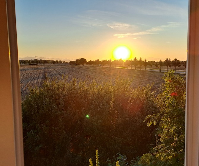 Ferienhaus in Kühlungsborn - Schlehdornhaus - Sonnenuntergang