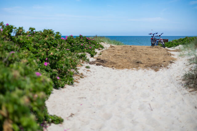 Ferienwohnung in Dierhagen - DER ST&Ouml;RTEBEKER - "Apartment Born" | Apartments hinter den D&uuml;nen - Bild 13