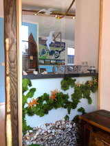 Ferienwohnung in Ostseeheilbad Zingst - Achterdeck FW 2 - Bild 18