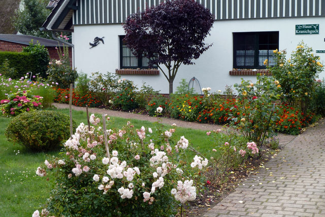 Ferienwohnung in Ostseeheilbad Zingst - Kranichguck, App. 1 - Bild 11