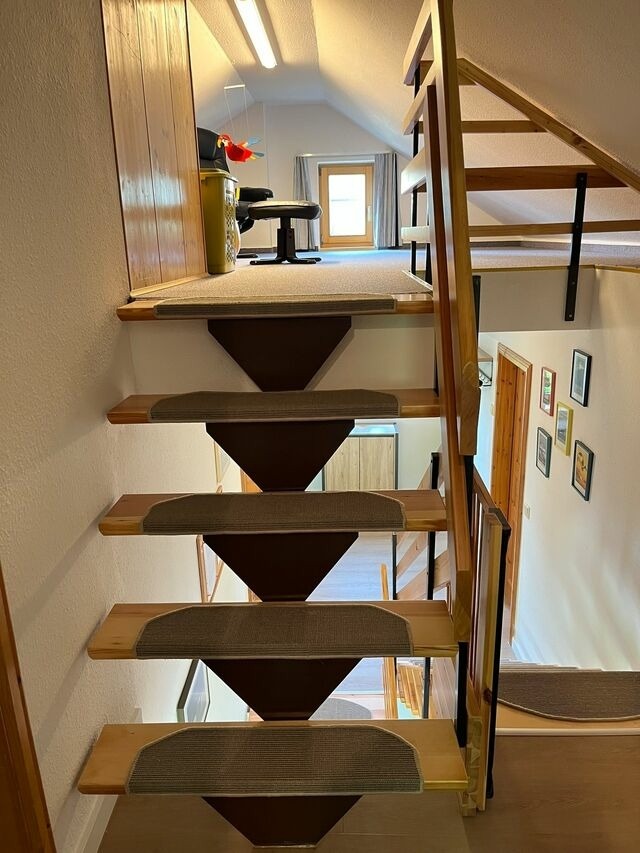 Ferienhaus in Marlow - Ferienhäuser am Vogelpark - Boddenhaus 60 - Bild 22