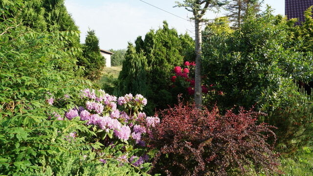 Ferienwohnung in Dierhagen - Ferienwohnung Zaepernick Erdgeschoss - Bild 9