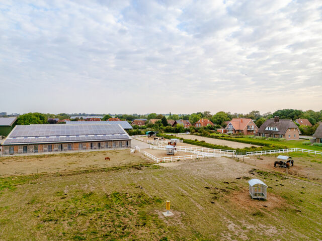 Ferienwohnung in Fehmarn OT Staberdorf - Pferdewiese - Bild 20