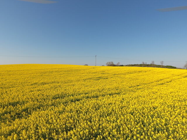 Ferienwohnung in Rabenkirchen-Faulück - Ferienappartement mit Schleiblick 20 - Bild 11