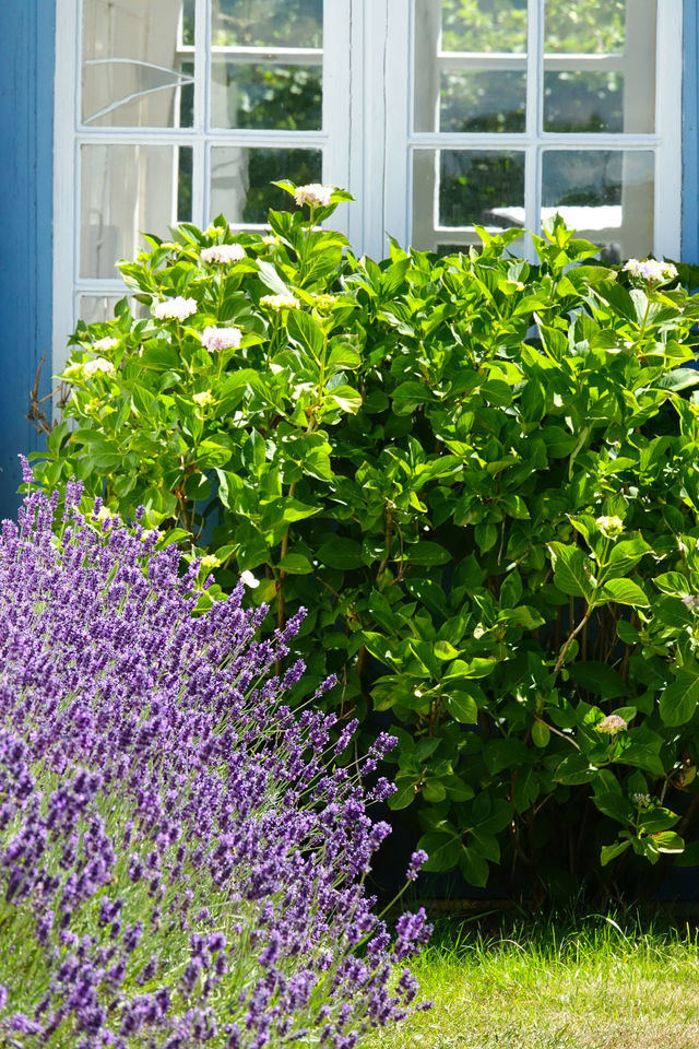 Ferienhaus in Gelting - Fürstenhäuschen - Schloss Gelting - Bild 10