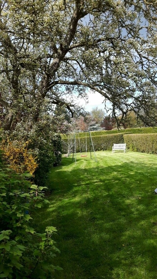 Ferienhaus in Fehmarn OT Sahrensdorf - Ferienhaus f&uuml;r die Gro&szlig;familie oder Gruppenhaus auf dem Ferien- und Bauernhof Nielson in Inselmitte - Bild 18