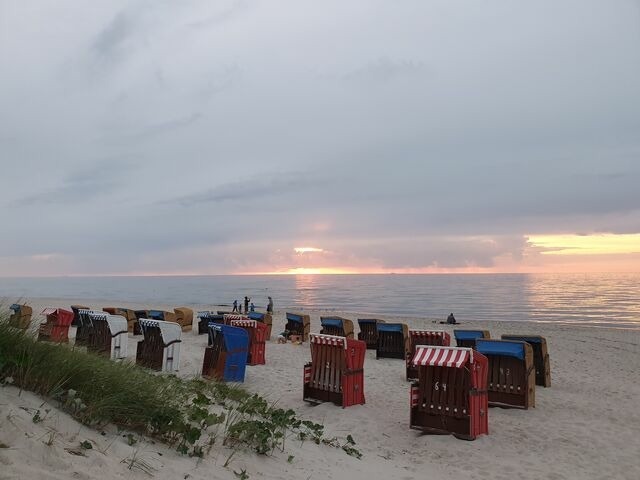 Ferienwohnung in Ribnitz-Damgarten - Ferienhof SchilfMeer - Fewo "Seepferdchen" - Bild 24