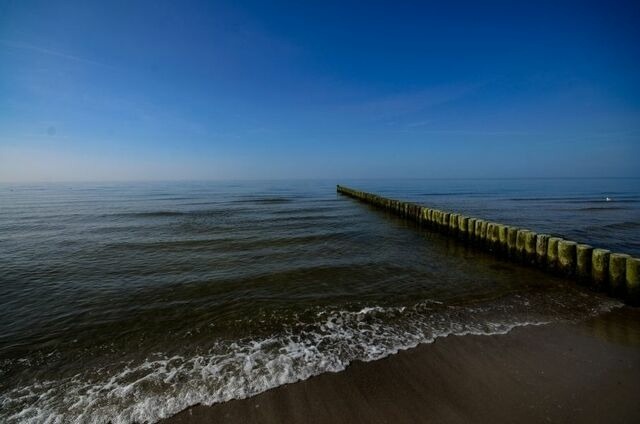 Ferienwohnung in Graal-M&uuml;ritz - Aster - Bild 20