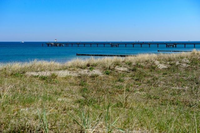 Ferienwohnung in Graal-Müritz - Stranddistel - Bild 22