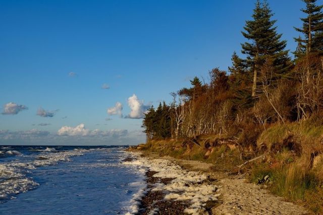 Ferienwohnung in Graal-Müritz - Jasmin - Bild 19
