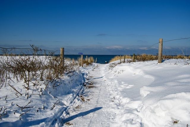 Ferienwohnung in Graal-Müritz - Weinrose - Bild 25
