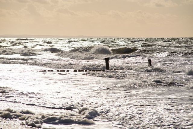 Ferienwohnung in Graal-Müritz - Kornblume - Bild 22
