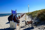 Ferienwohnung in Graal-M&uuml;ritz - Strandnelke - Bild 20
