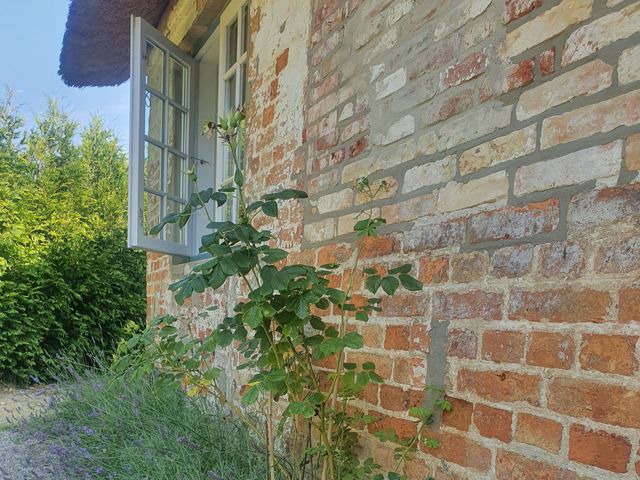 Ferienhaus in Gelting - Paulsen Häuschen - Schloss Gelting - Bild 16
