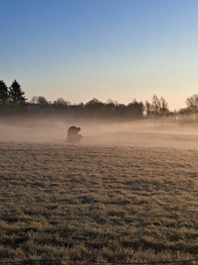 Ferienwohnung in Carinerland - Wagen am Rande der Welt - Bild 20