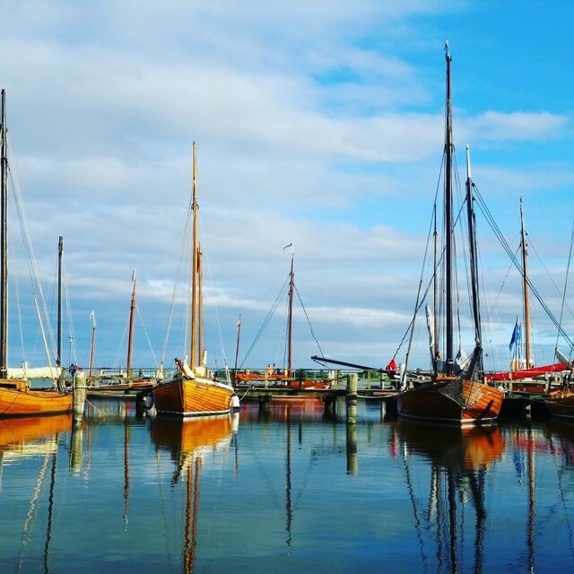 Ferienwohnung in Zingst - Strandl&auml;ufer App. 205 - Bild 17