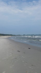 Ferienwohnung in Neddesitz - Whg.313, 1-R-Stübchen - Bild 10