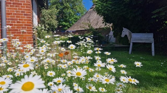 Ferienwohnung in Riepsdorf -  [Urlaub mit Hund] - freie Zeiten im Sommer - Bild 9