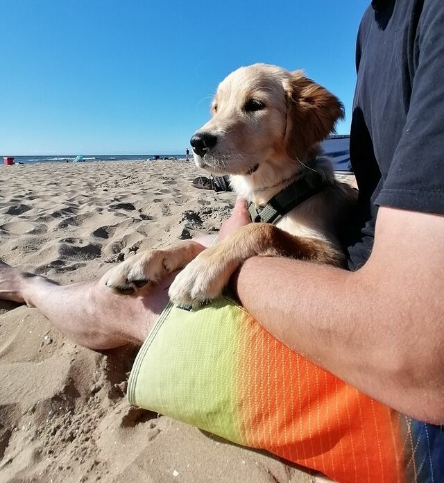 Ferienwohnung in Riepsdorf -  [Urlaub mit Hund] - freie Zeiten im Sommer - Bild 10