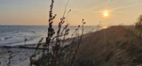 Ferienwohnung in Riepsdorf -  [Urlaub mit Hund] - freie Zeiten im Sommer - Bild 23
