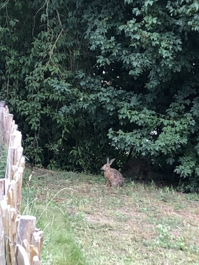 Ferienwohnung in Steinbeck - MP 1 Ankerplatz - Bild 13