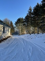 Ferienhaus in Steinbeck - MP 9 Villa - Bild 9