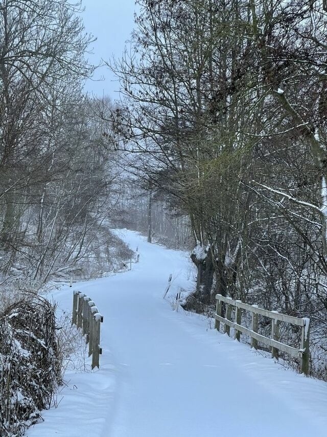 Ferienwohnung in Steinbeck - MP 4 Meerjungfrau - Bild 15