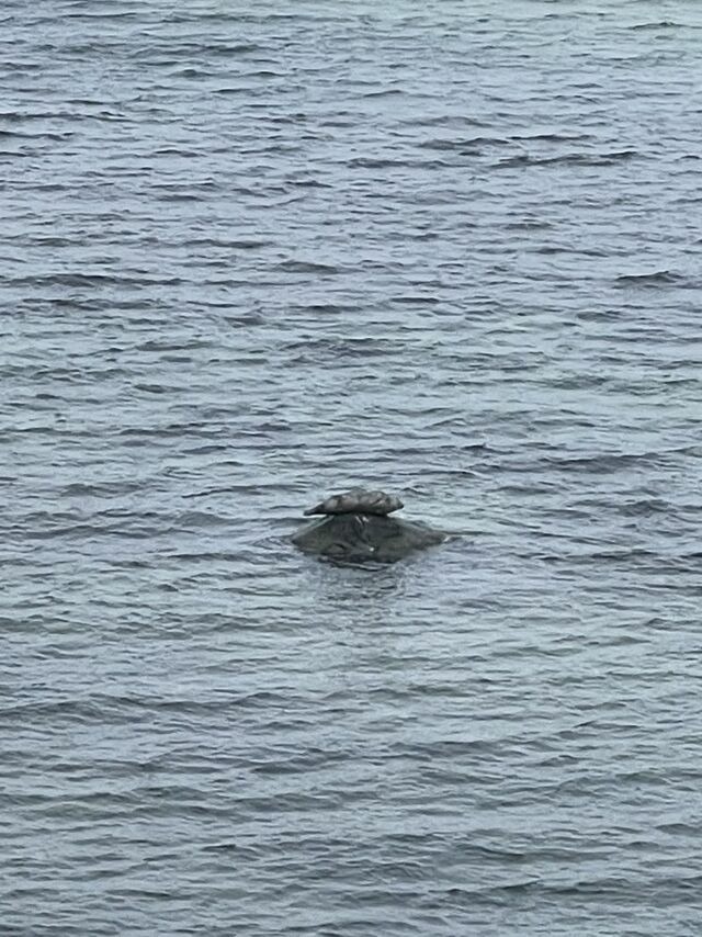 Ferienwohnung in Steinbeck - MP 3 Küstenkind - Bild 17
