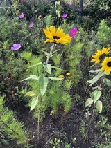 Ferienwohnung in Steinbeck - MP 6 Nordstern - Bild 14