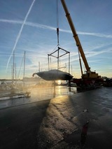Doppelzimmer in Travem&uuml;nde - Segellast 5 - Bild 12