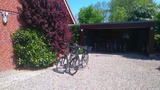 Ferienwohnung in Fehmarn OT Gammendorf - Storchennest - Bild 9