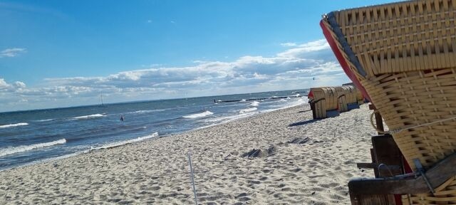 Ferienwohnung in Kellenhusen - Rosa Canina, W4 - Bild 15