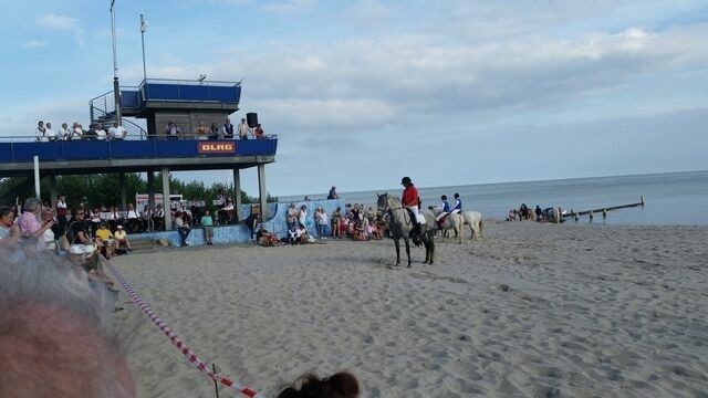 Ferienwohnung in Kellenhusen - Rosa Canina, W4 - Bild 20