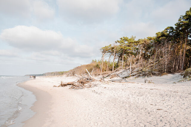 Ferienwohnung in Ahrenshoop - Strandd&uuml;ne 2 - Bild 8